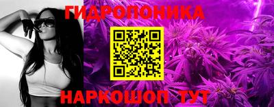 прущие крисы Партизанск