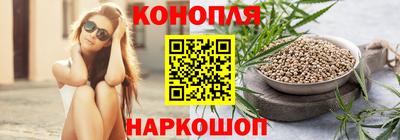 прущие крисы Партизанск