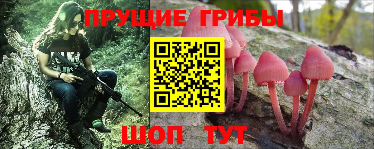 Псилоцибиновые грибы Psilocybine cubensis Рубцовск