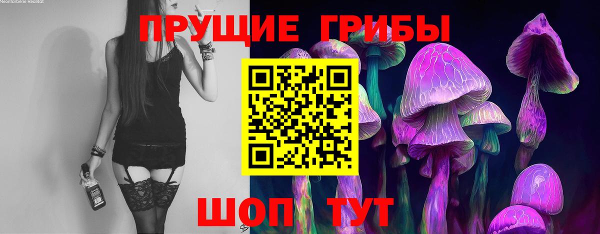 Рубцовск  Галлюциногенные грибы Psilocybine cubensis  Вход с VPN 